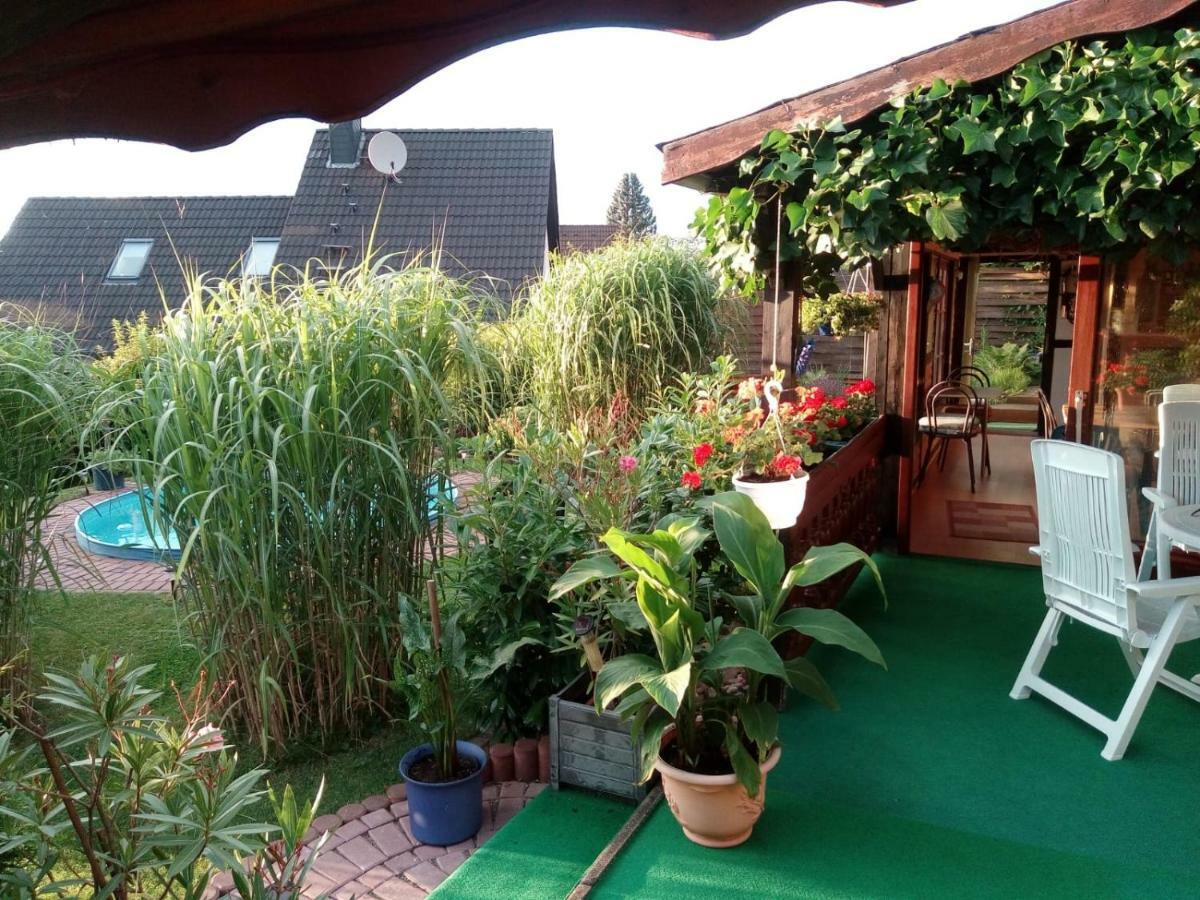 Ferienwohnung Blick Ins Land Goslar Exteriör bild